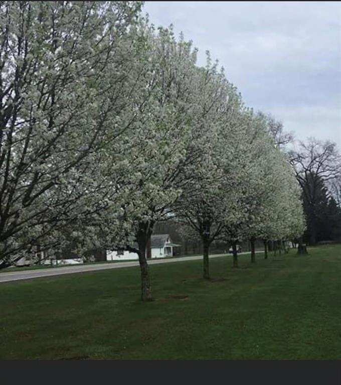 118 Eau Claire Road Boyers, PA 16020 - Photo 9 of 24 a huge green field with lots of trees