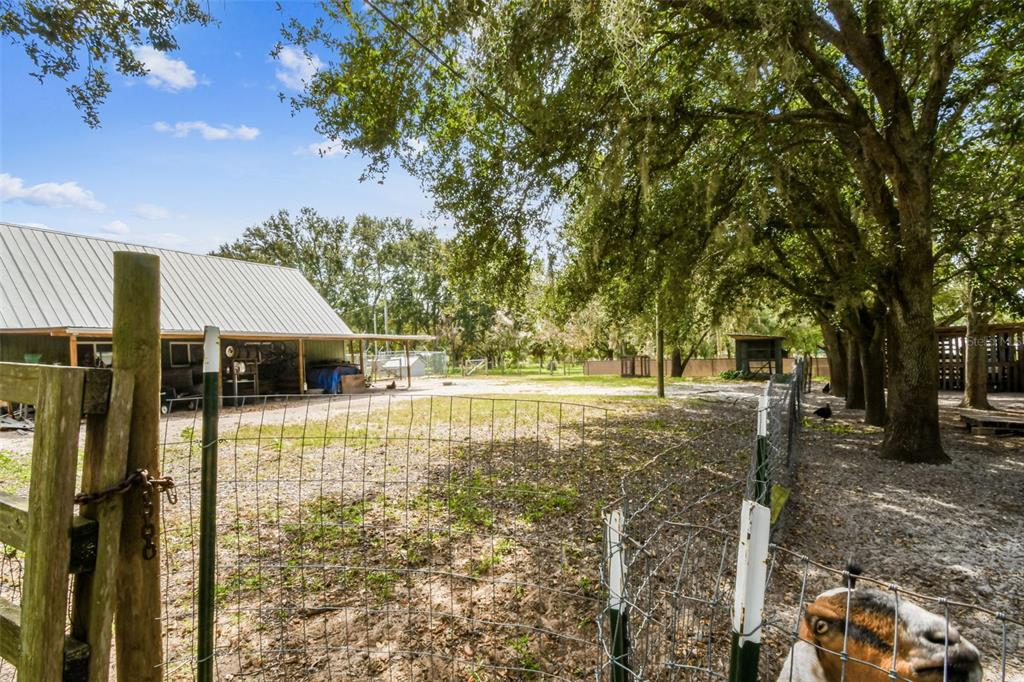 15019 Carlton Lake Road Wimauma, FL 33598 - Photo 52 of 89 a view of a house with a yard