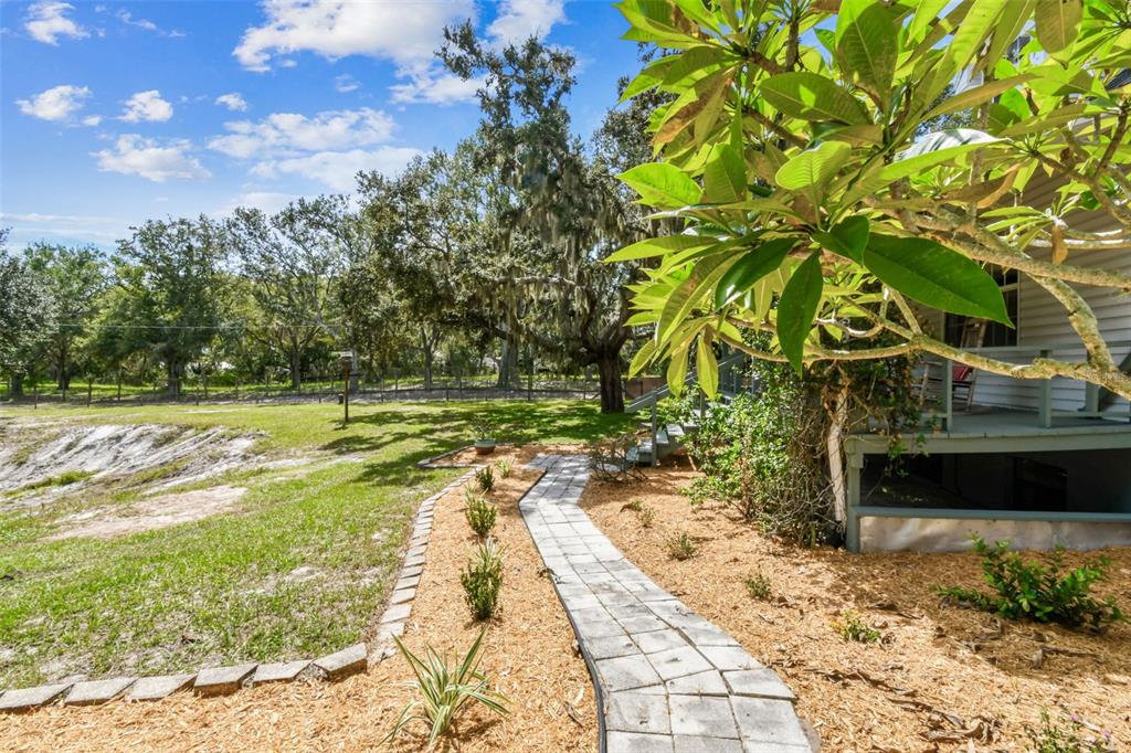 15019 Carlton Lake Road Wimauma, FL 33598 - Photo 9 of 89 a backyard of a house with lots of green space