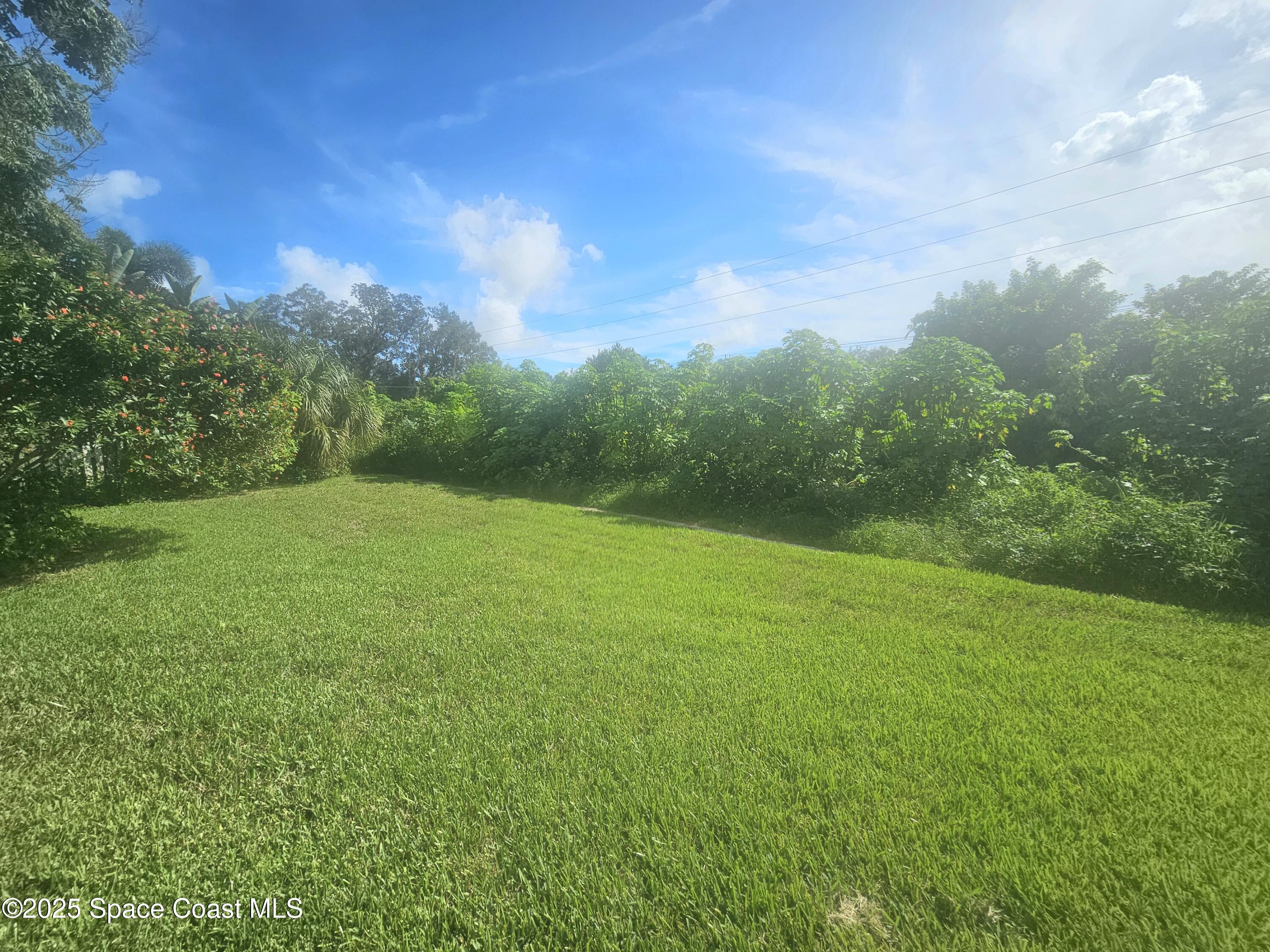 2240 Spring Creek Circle Palm Bay, FL 32905 - Photo 21 of 29 a view of yard with green space
