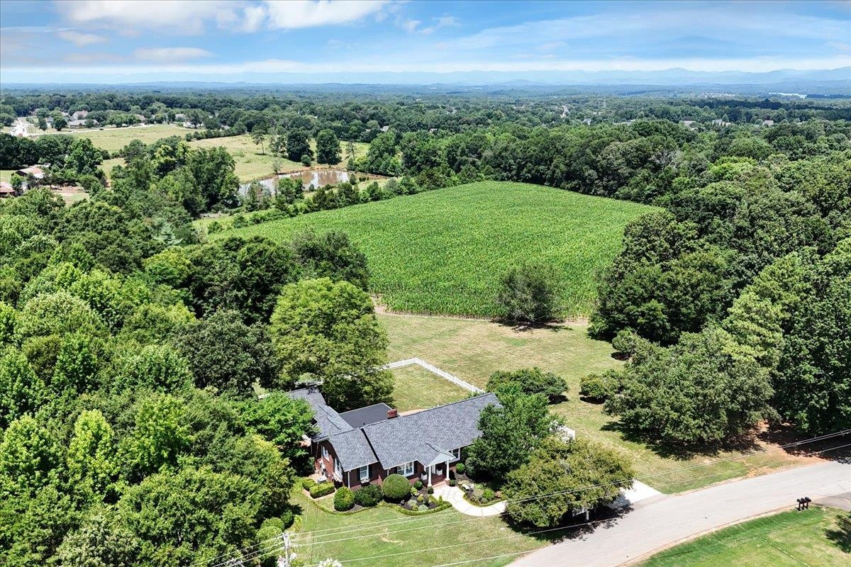 1250 Owens Road Greer, SC 29651 - Photo 35 of 36