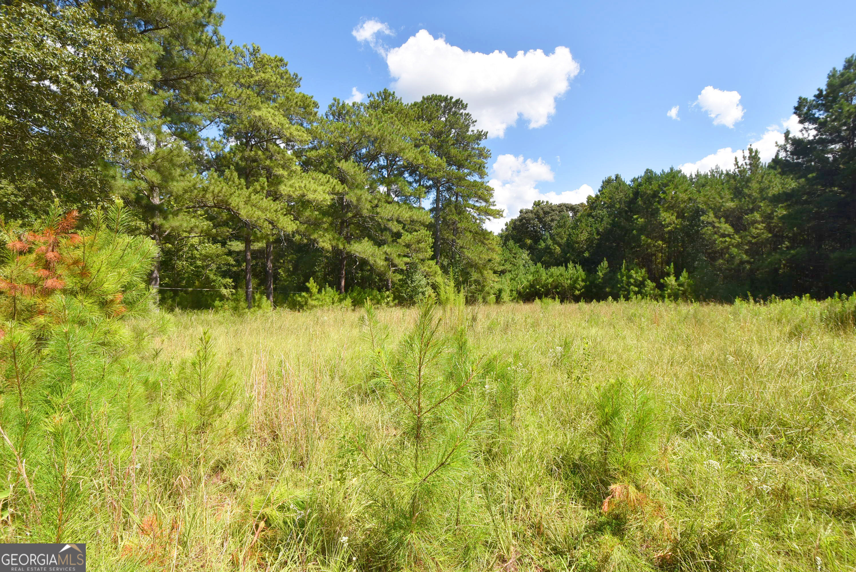 269 North Dorsey Road Hampton, GA 30228 - Photo 48 of 48 Gallery Image 48