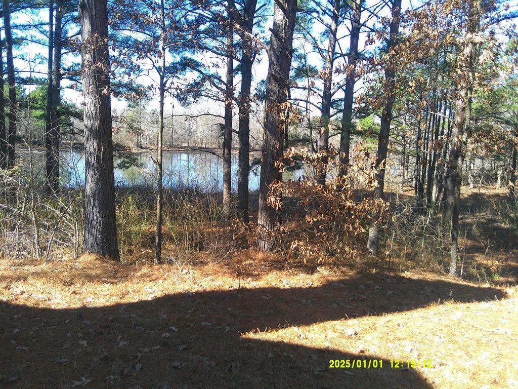3726 County Road 4284 Simms, TX 75574 - Photo 4 of 26 a view of backyard of a house