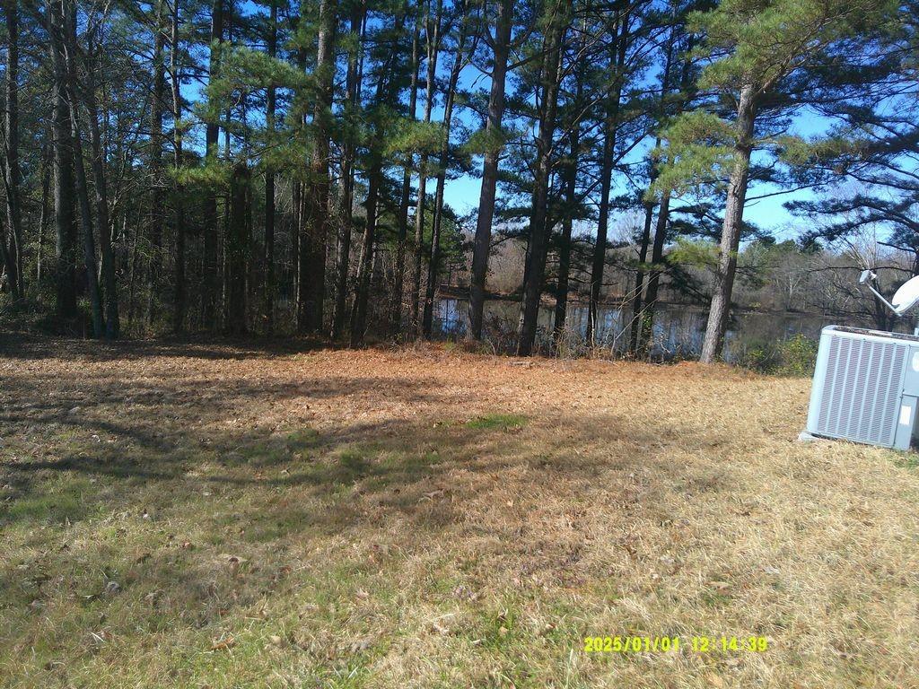 3726 County Road 4284 Simms, TX 75574 - Photo 5 of 26