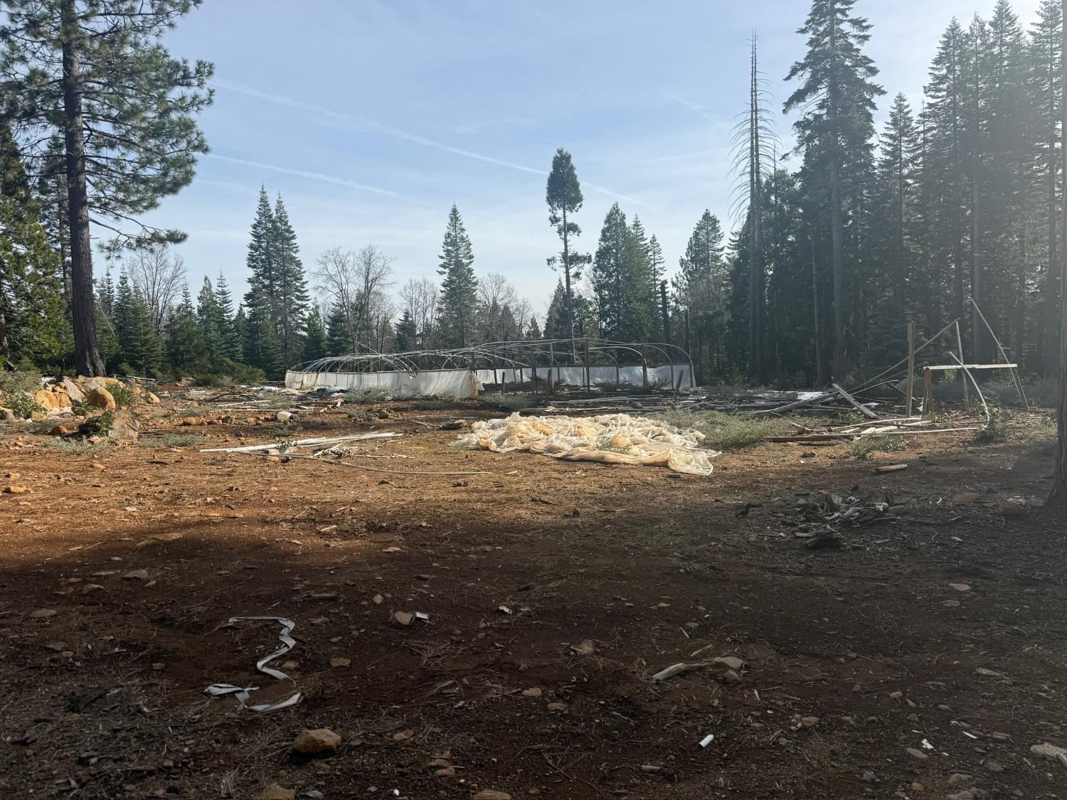 16127 Ophir Silver Road Nevada City, CA 95959 - Photo 7 of 20