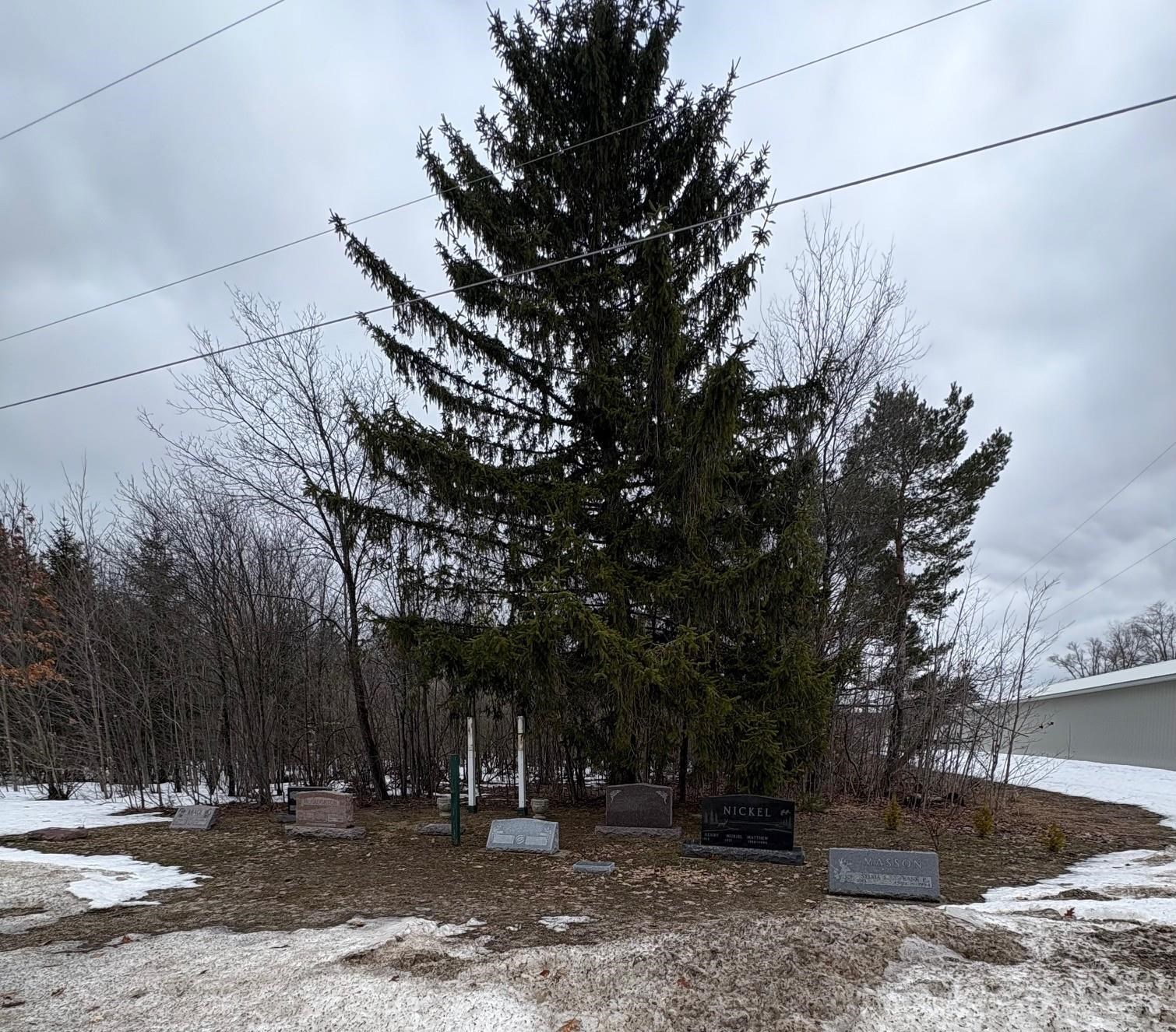0 Cedar River Road Mancelona, MI 49659 - Photo 1 of 6