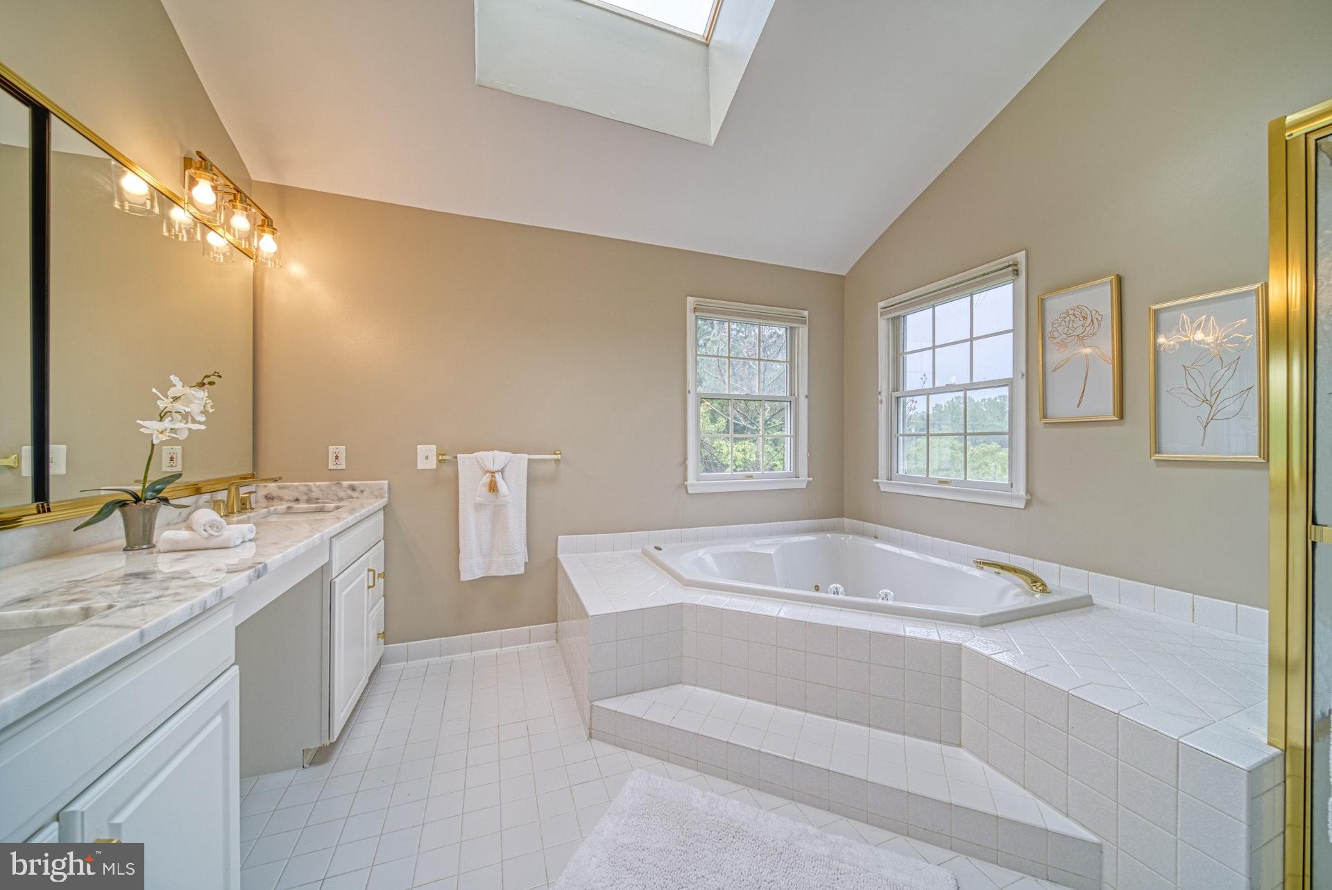 1321 Gatesmeadow Way Reston, VA 20194 - Photo 22 of 62 Master Bath -Quartzite Counters, Modern Fixtures