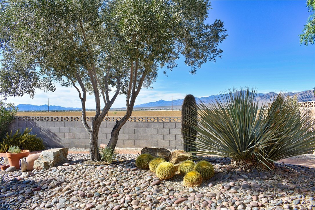 5350 Grain Mill Road Pahrump, NV 89061 - Photo 48 of 50 Gallery Image 48