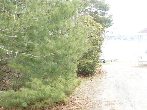 Lot 262 Converse Road Marion, MA 02738 - Photo 4 of 12