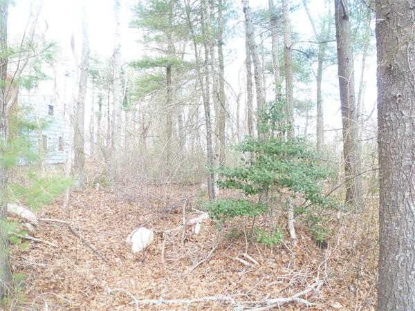 Lot 262 Converse Road Marion, MA 02738 - Photo 7 of 12