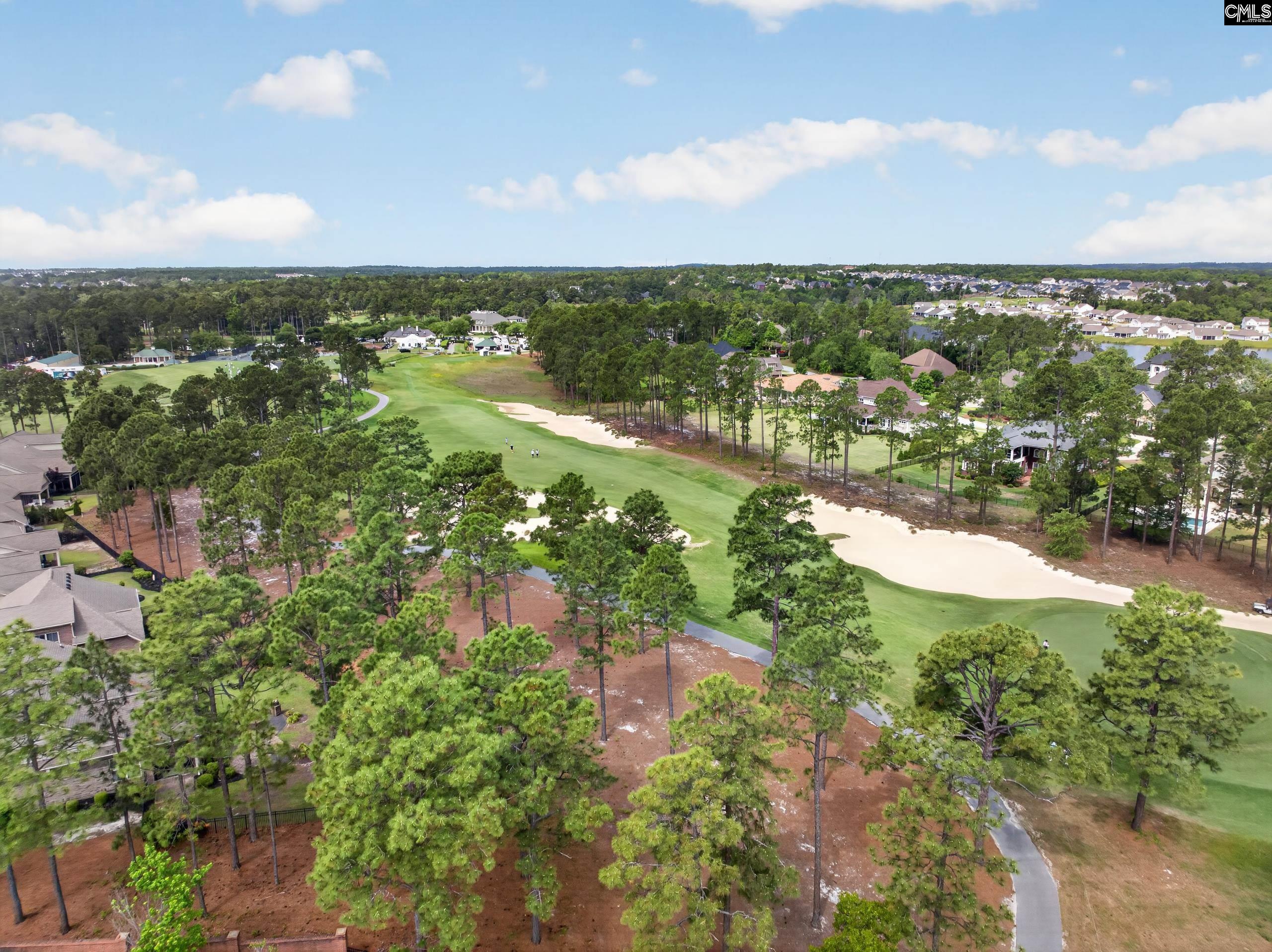 401 Layup Court Elgin, SC 29045 - Photo 5 of 36