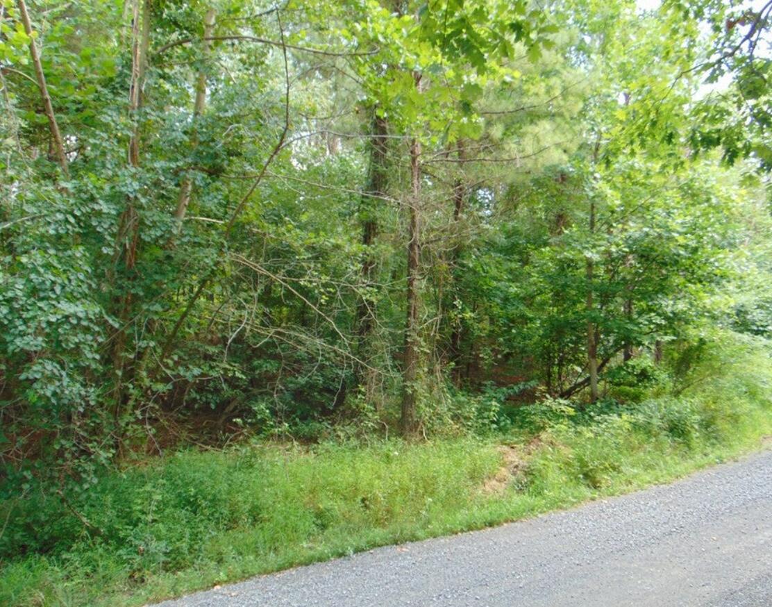744 Chathem Road Decatur, TN 37322 - Photo 3 of 3 Road