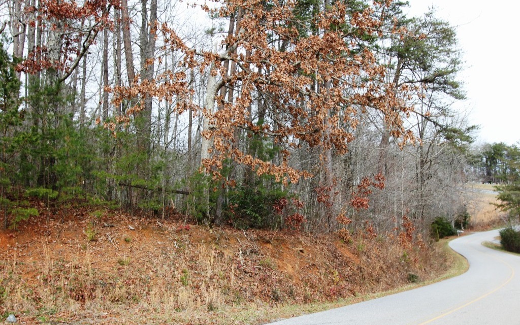 3.09 A Deer Crest Road Blue Ridge, GA 30513 - Photo 1 of 1 Main View