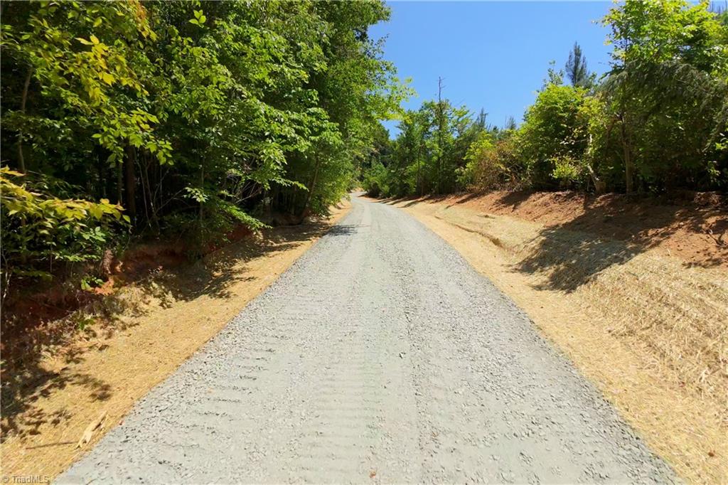 15 Roby Fulk Road Pinnacle, NC 27043 - Photo 3 of 19