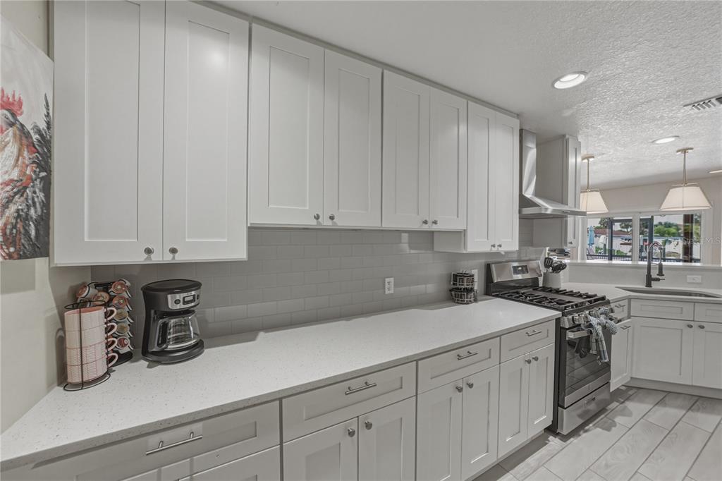 1004 Sago Palm Way Apollo Beach, FL 33572 - Photo 17 of 92 a kitchen with a sink dishwasher and white cabinets with wooden floor