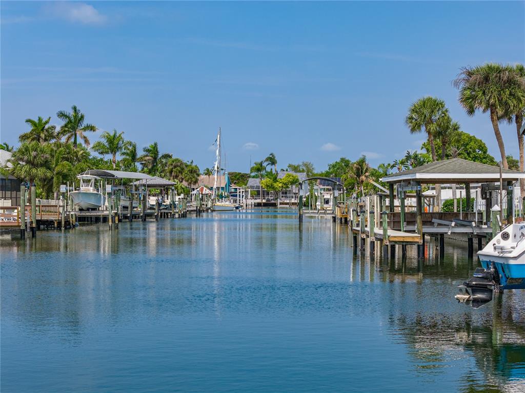 1004 Sago Palm Way Apollo Beach, FL 33572 - Photo 80 of 92