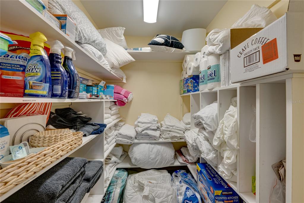 1004 Sago Palm Way Apollo Beach, FL 33572 - Photo 89 of 92