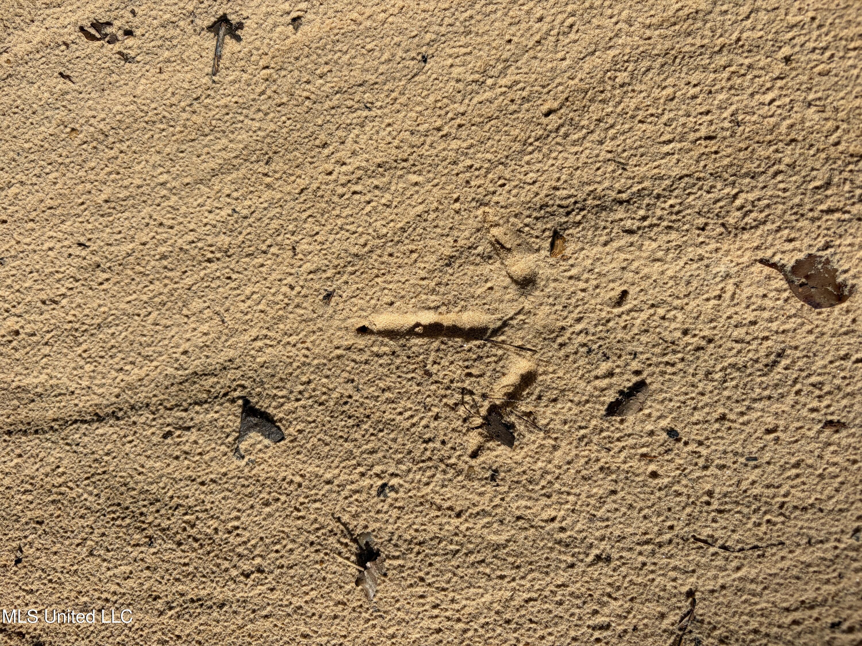 163 County Road Carrollton, MS 38917 - Photo 1 of 1 cover