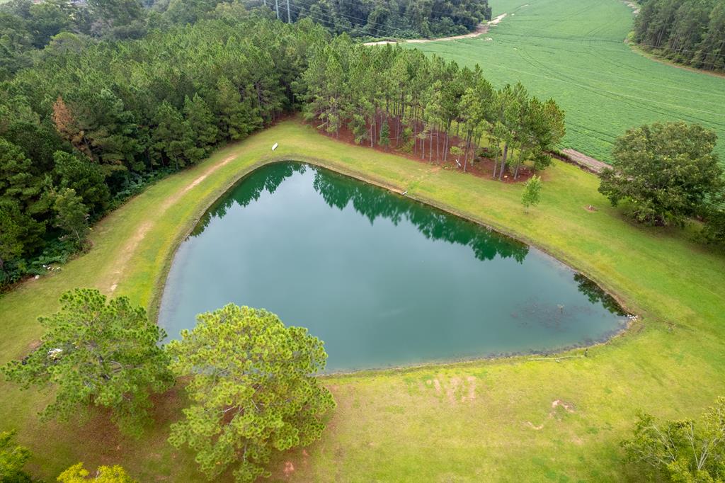 4572 Studstill Road Quitman, GA 31643 - Photo 42 of 53 Gallery Image 42