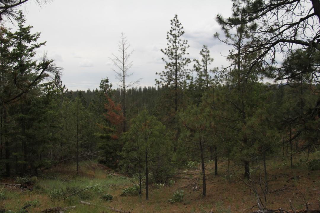 5457 D Tarbert Road Deer Park, WA 99006 - Photo 14 of 20 Gallery Image 14