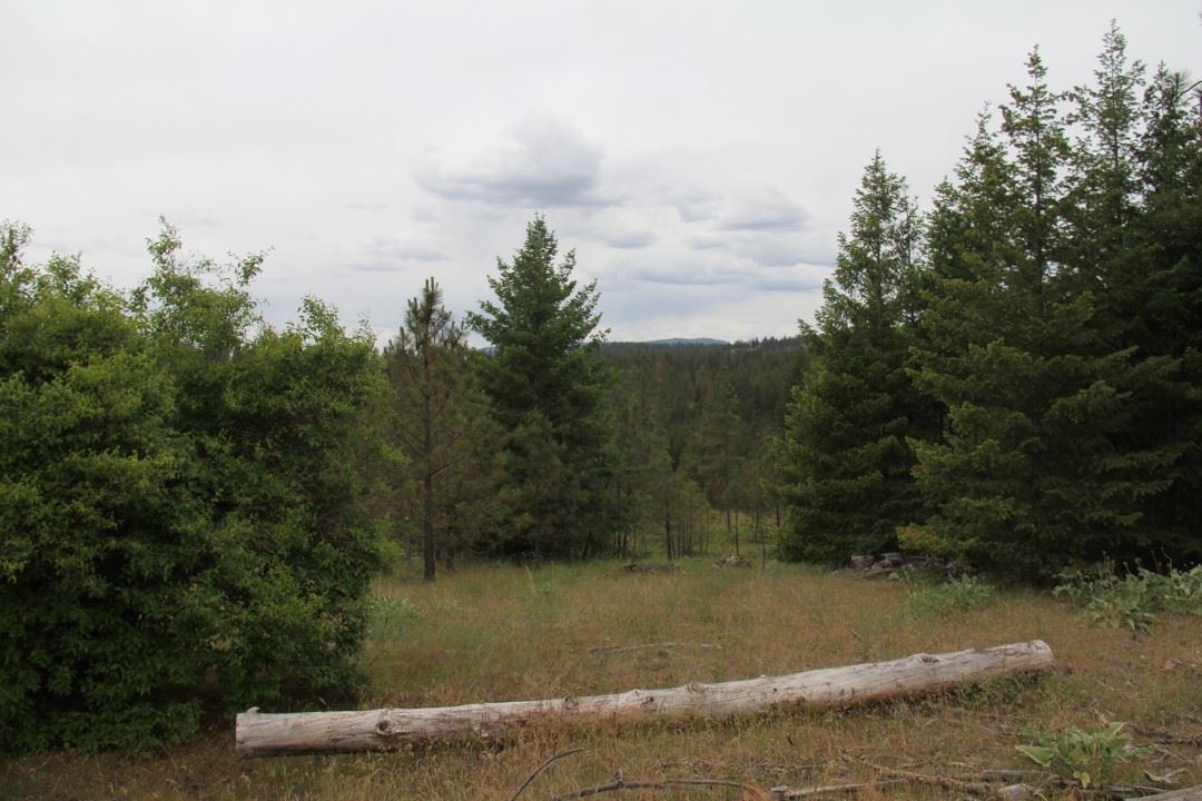 5457 D Tarbert Road Deer Park, WA 99006 - Photo 3 of 20 Gallery Image 3