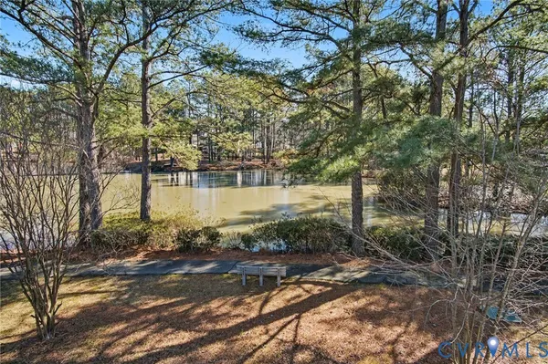 a view of a lake with a tree