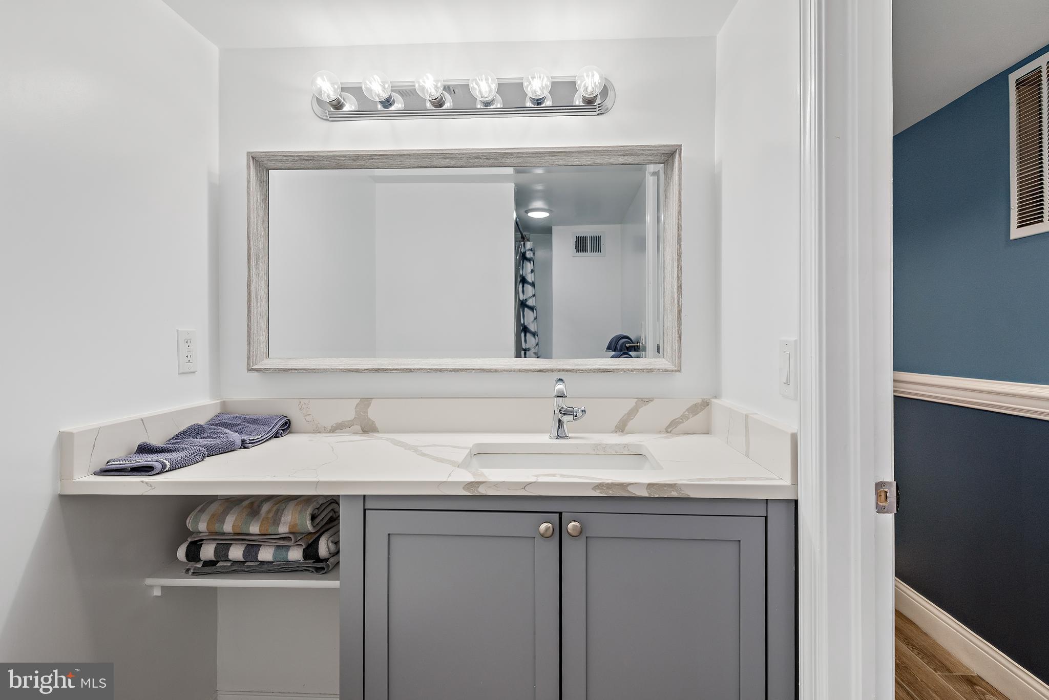 1836 Metzerott Road, Unit 1101 Adelphi, MD 20783 - Photo 25 of 37 Renovated Bathroom
