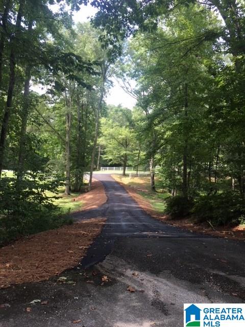 206 Liberty Road Chelsea, AL 35043 - Photo 18 of 18