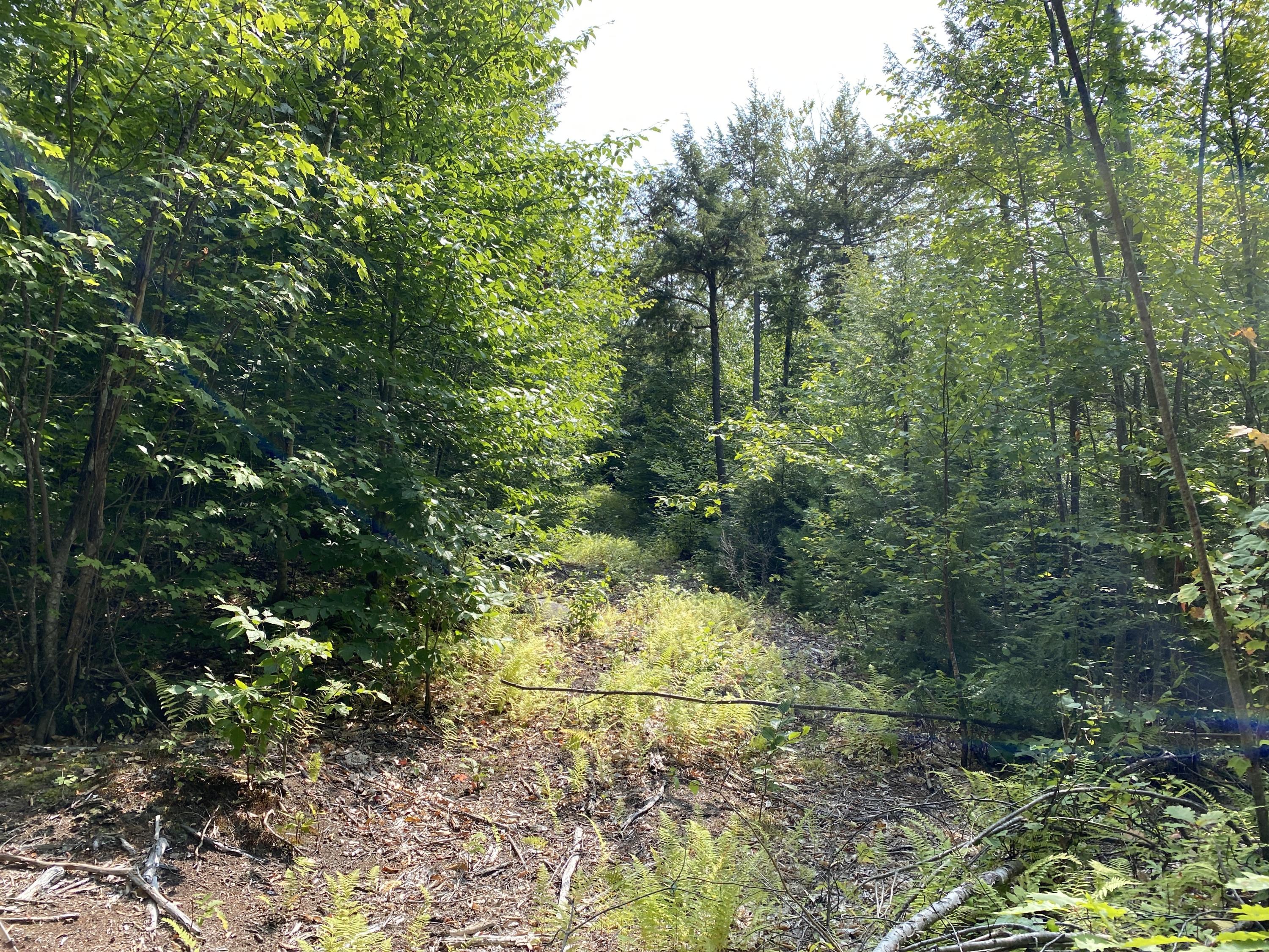 6-082 Lomie Rivers Road Jay, ME 04239 - Photo 13 of 43 Photo Sep 16, 1 43 06 PM