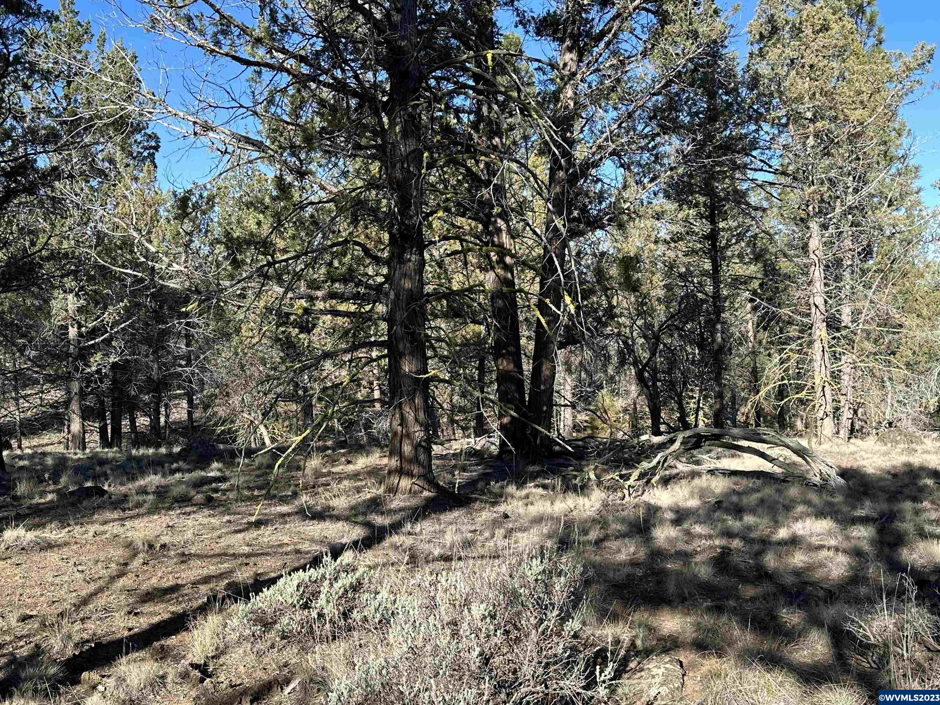 1300 Fishhole Creek Road Bly, OR 97622 - Photo 20 of 25