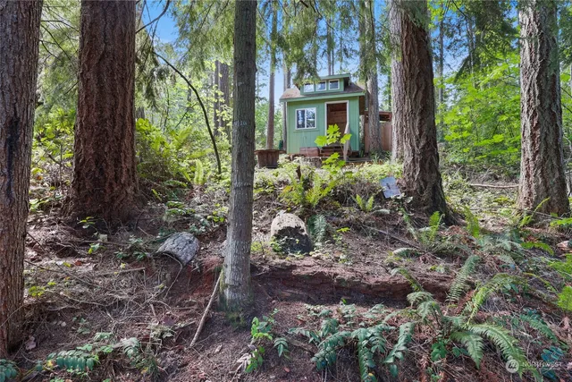 a view of a garden from a building