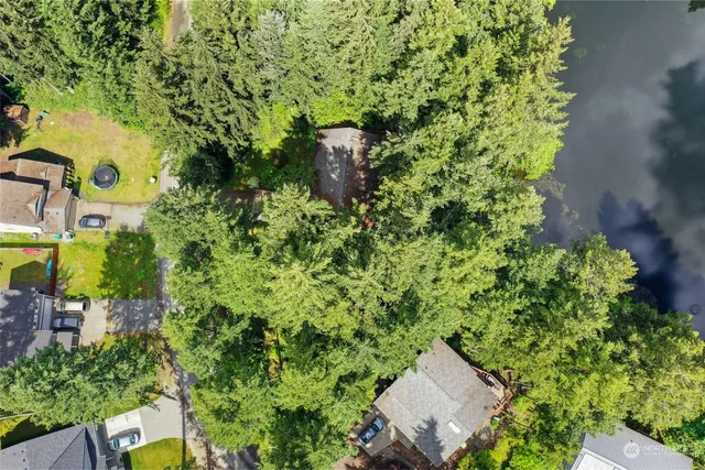 a view of a garden with a tree