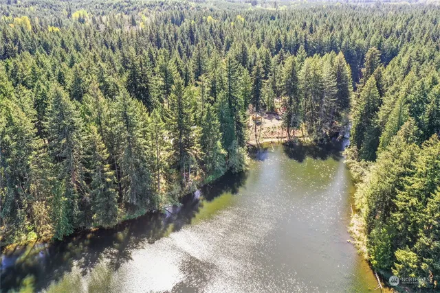 a view of a lake with a mountain in the background