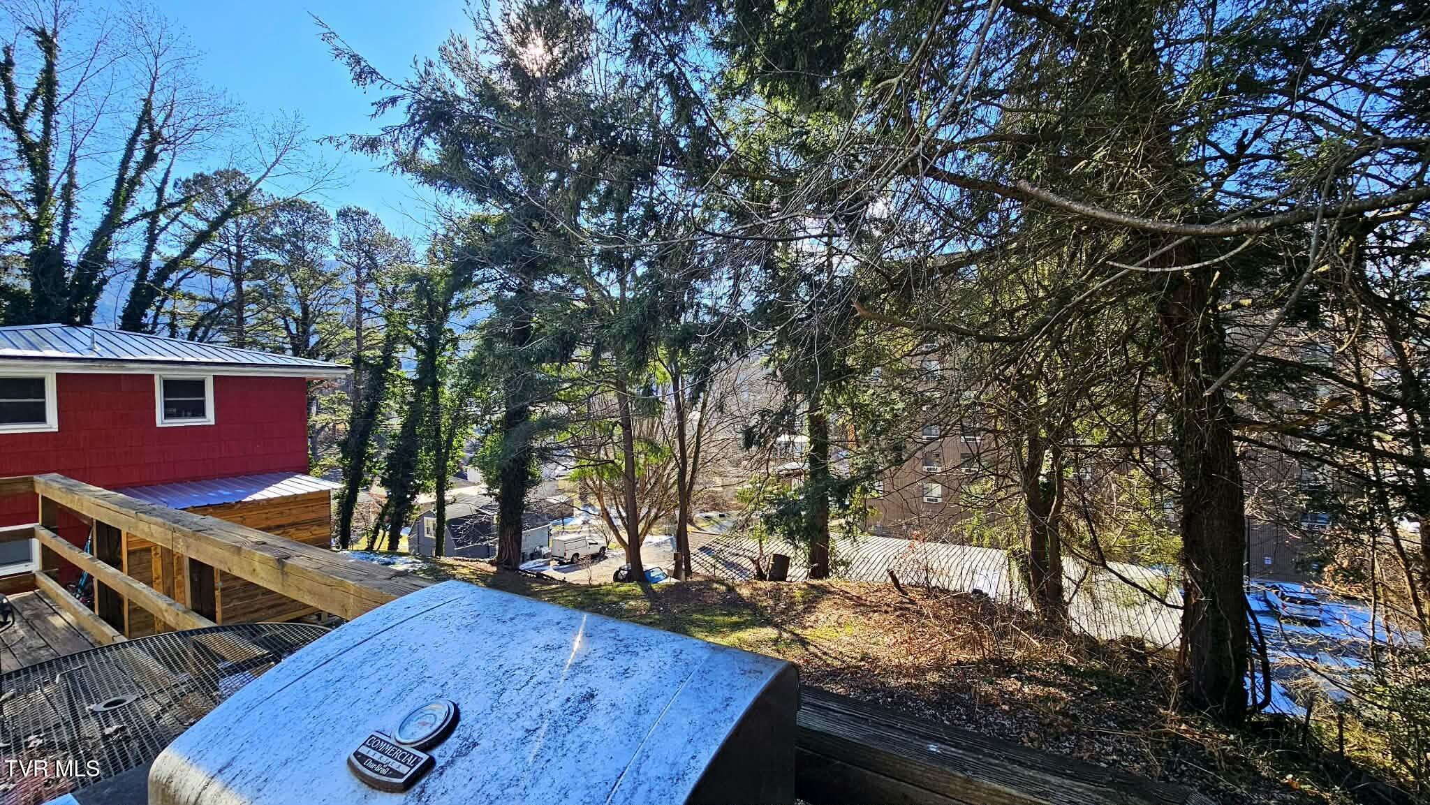 223 Craig Street Northwest Norton, VA 24273 - Photo 4 of 26 4