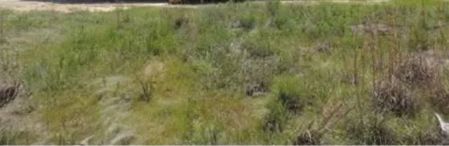 $350 | 1540 Road 5860, Cleveland, TX 77327