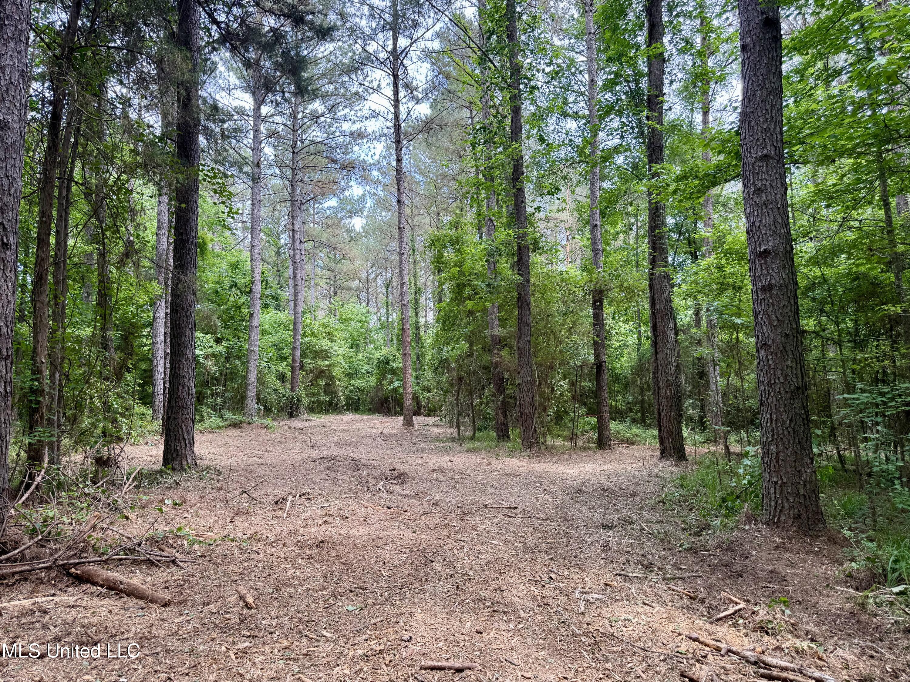 Stephens Road Durant, MS 39063 - Photo 1 of 18 IMG_0997