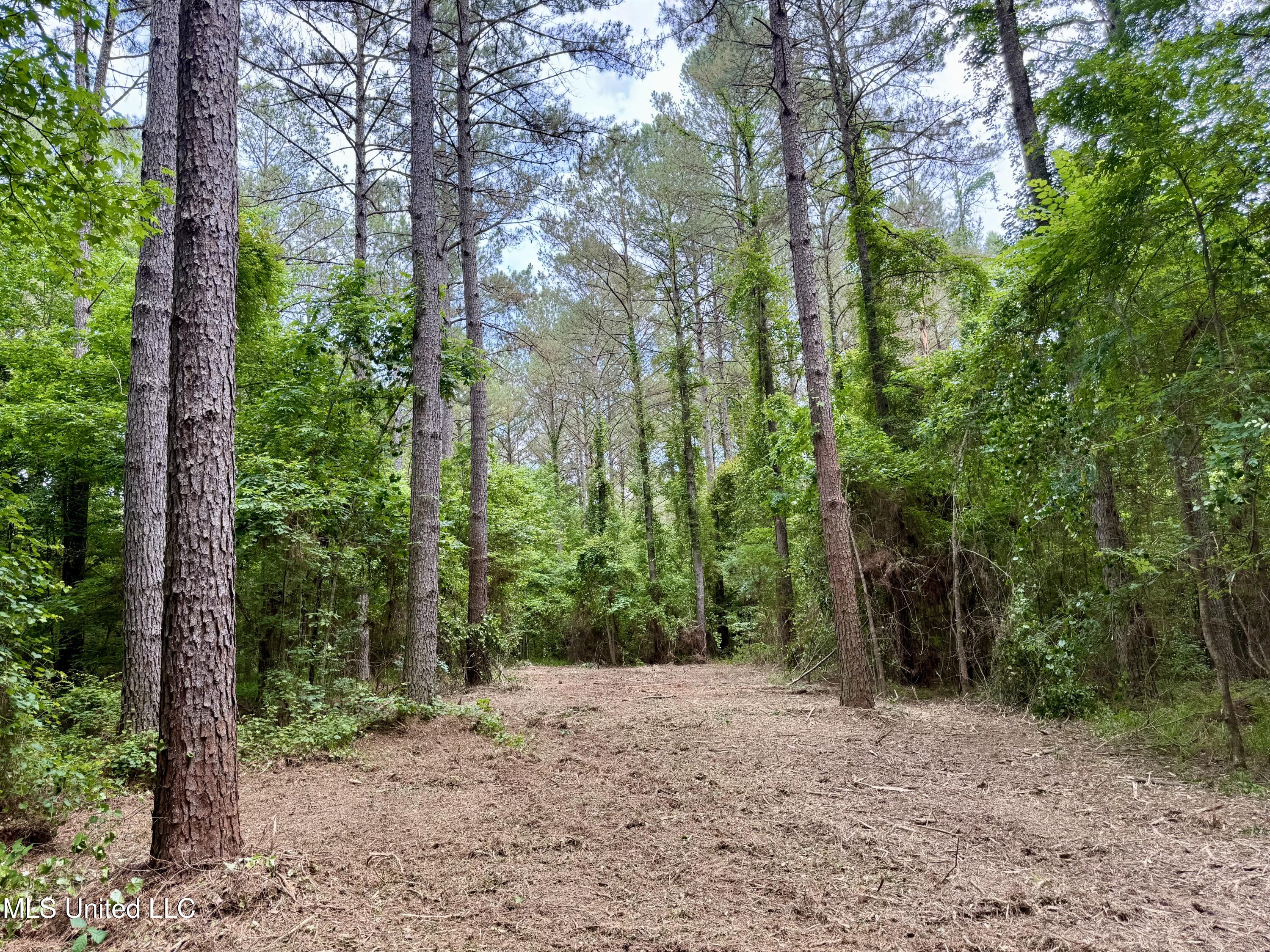 Stephens Road Durant, MS 39063 - Photo 12 of 18 IMG_0998