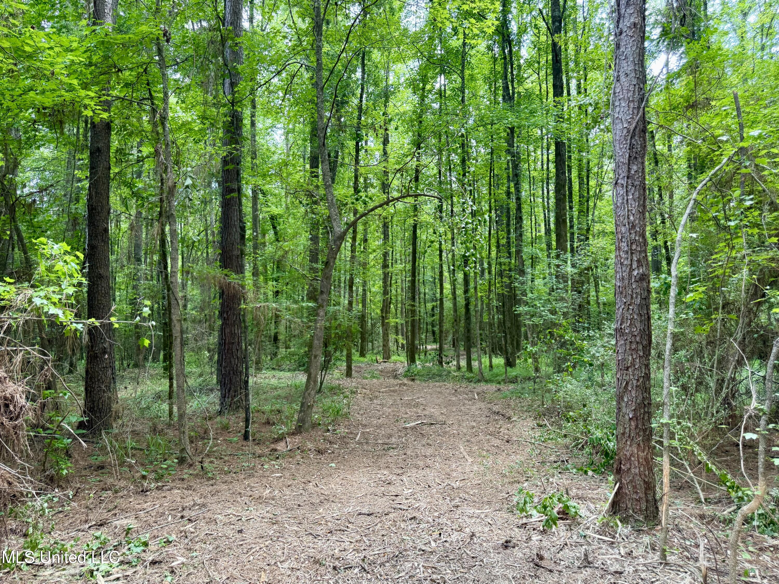 Stephens Road Durant, MS 39063 - Photo 13 of 18 IMG_0999