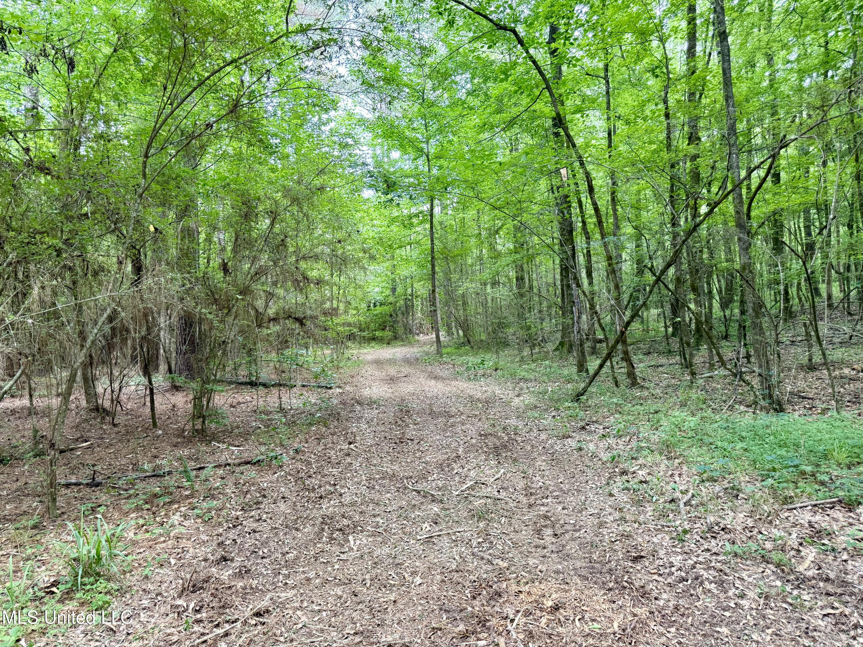 Stephens Road Durant, MS 39063 - Photo 16 of 18 IMG_1003