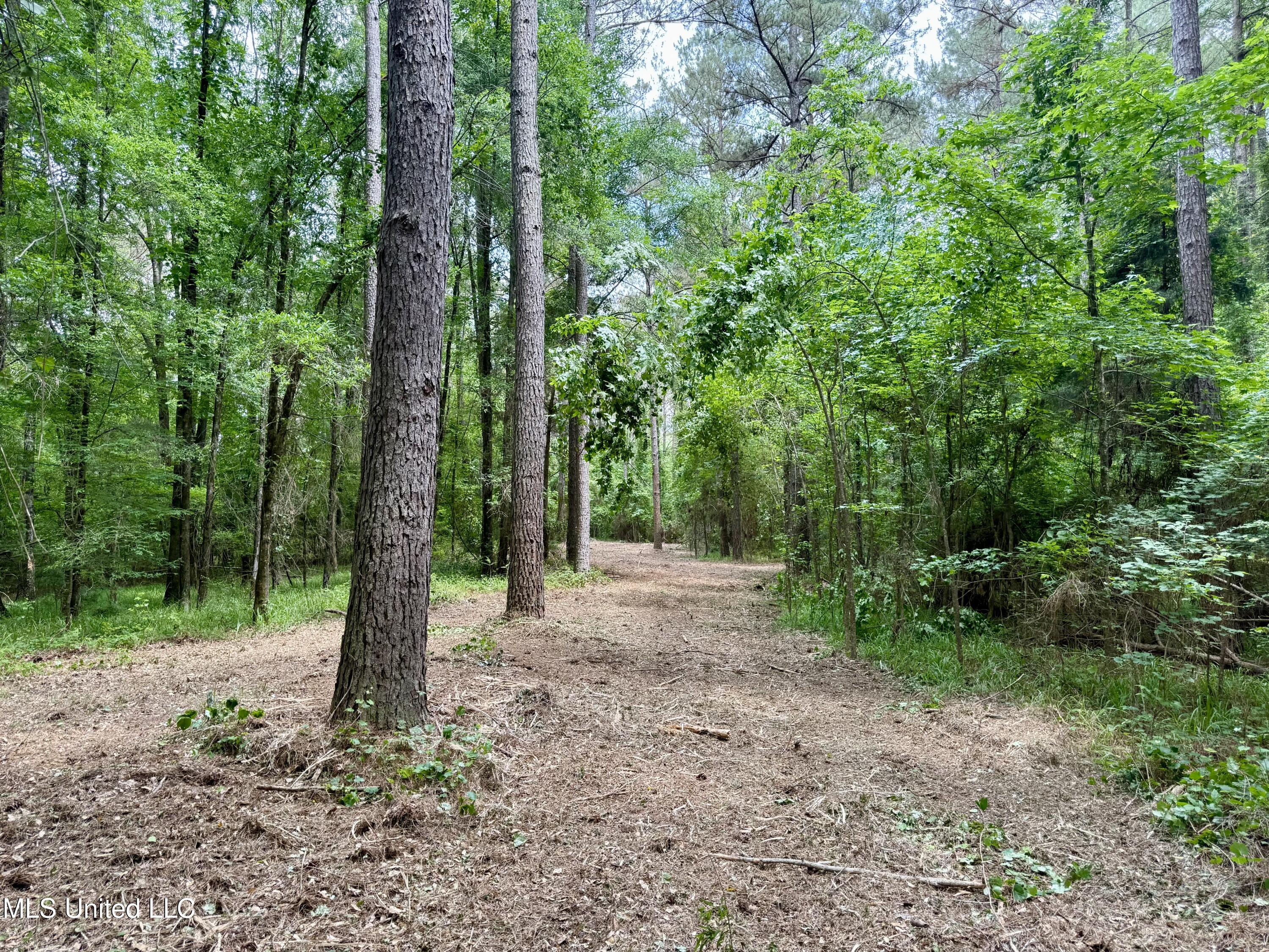 Stephens Road Durant, MS 39063 - Photo 2 of 18 IMG_0996