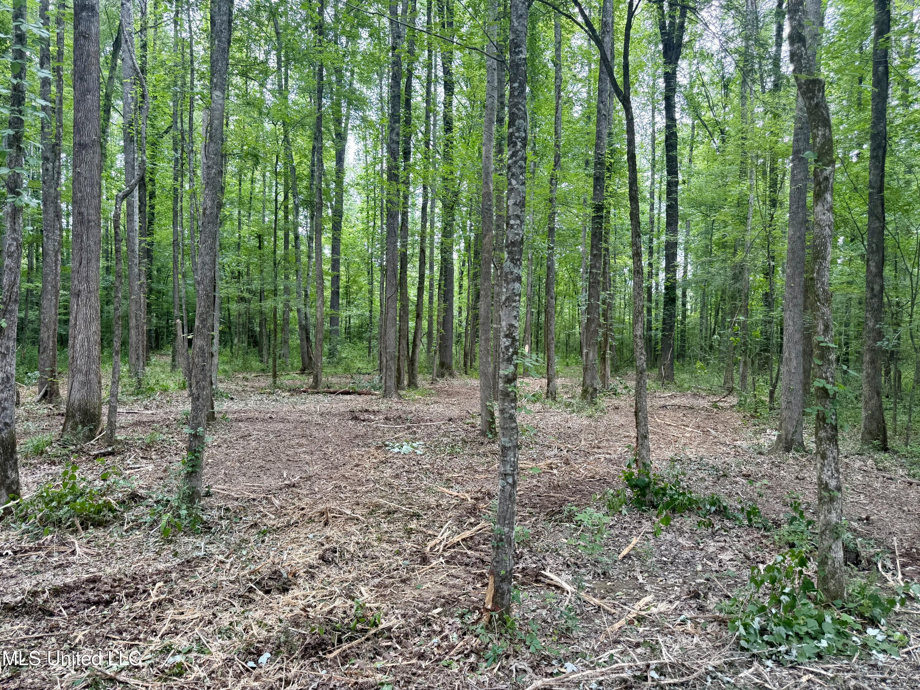 Stephens Road Durant, MS 39063 - Photo 6 of 18 IMG_0986