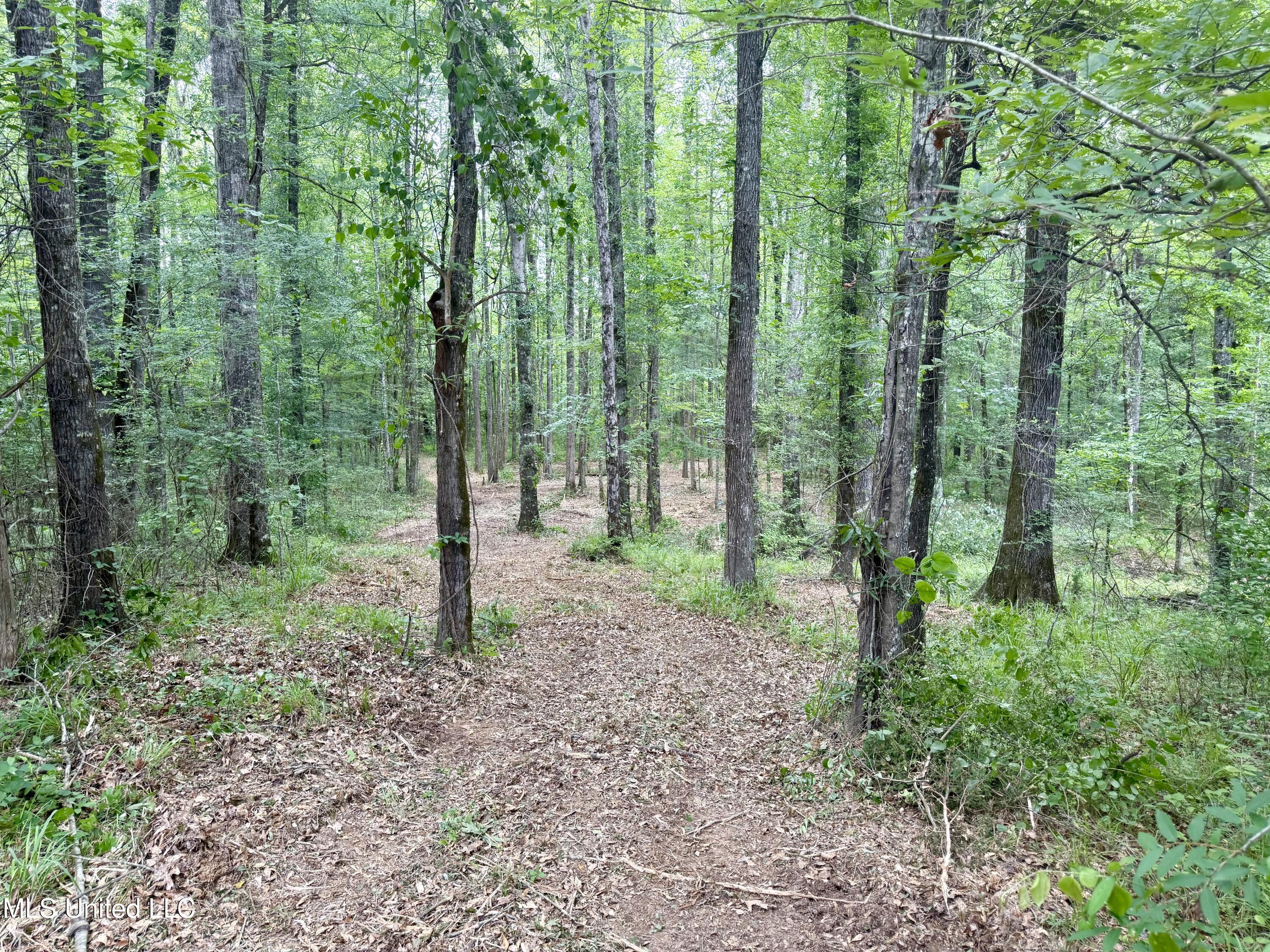 Stephens Road Durant, MS 39063 - Photo 7 of 18 IMG_0990