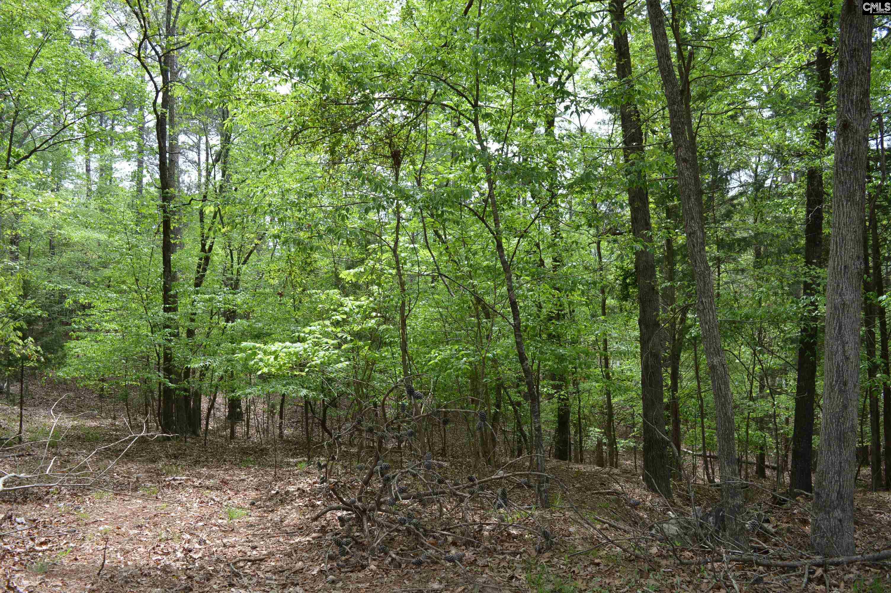 978 Rolling Hills Road Ridgeway, SC 29130 - Photo 7 of 9