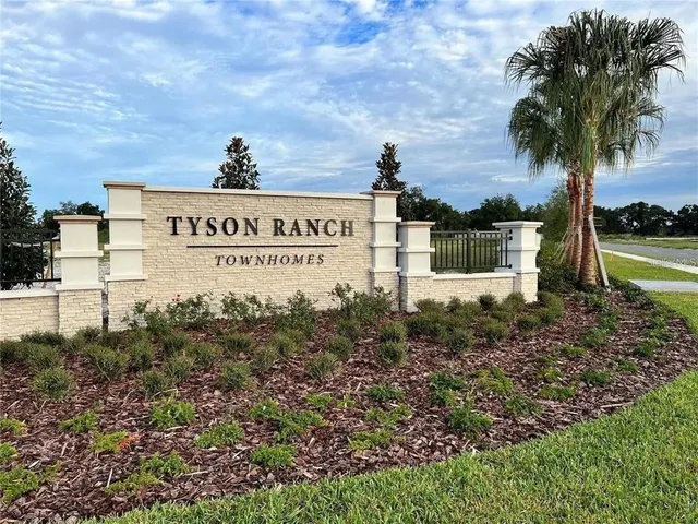 a view of outdoor space with a tree