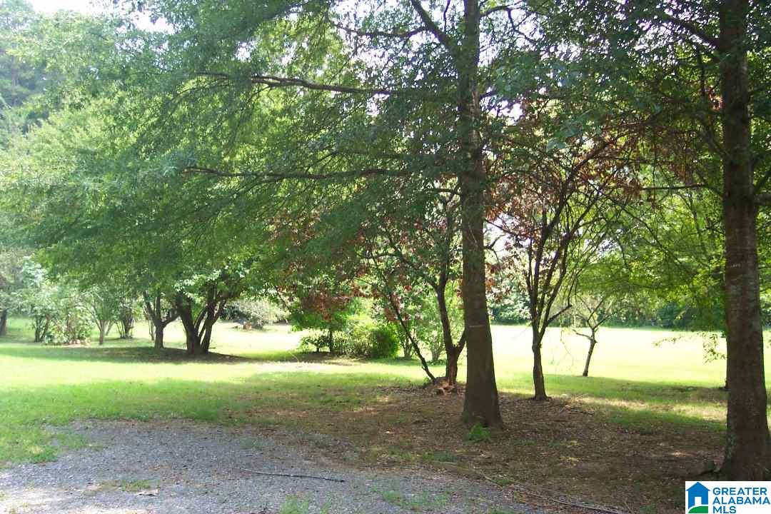 9945 Old Springville Road Trussville, AL 35173 - Photo 23 of 27