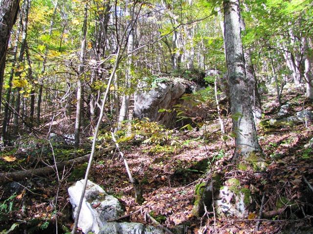 Laurel Creek Road Wayside, WV 24985 - Photo 20 of 28 Gallery Image 20