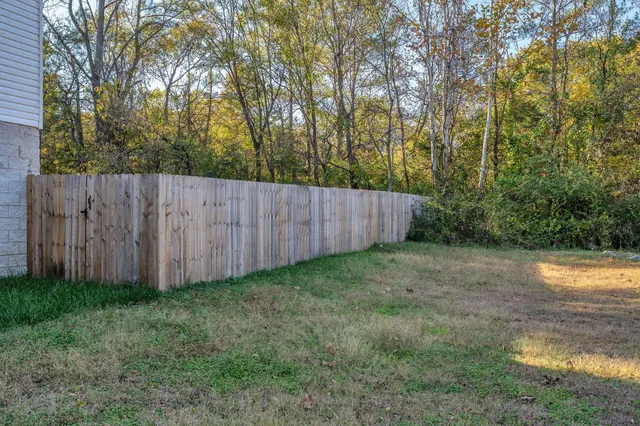 a view of a yard with plants and tree