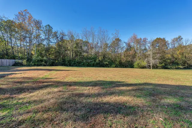 a view of a yard with a trees