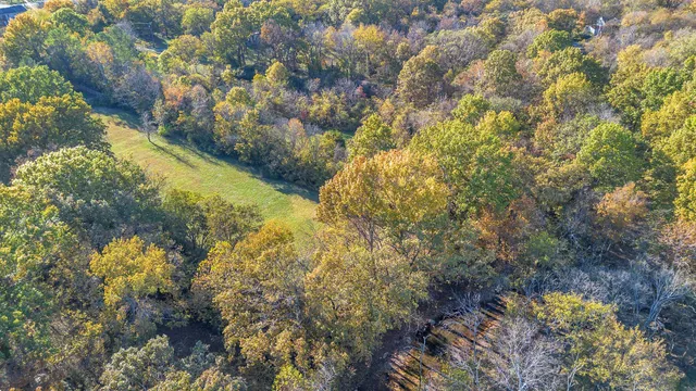 a view of a pathway with a yard