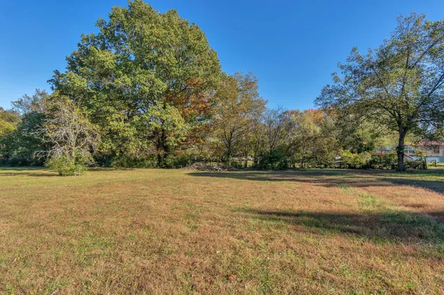 a backyard of a house with lots of green space